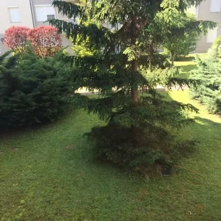 Apartament Rehab